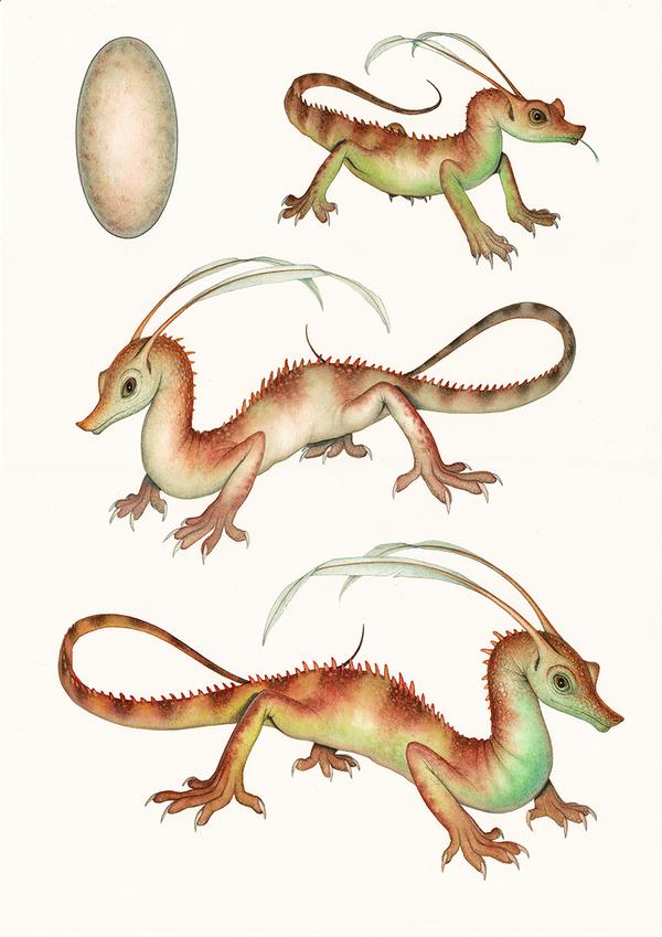 PAPECCHIO